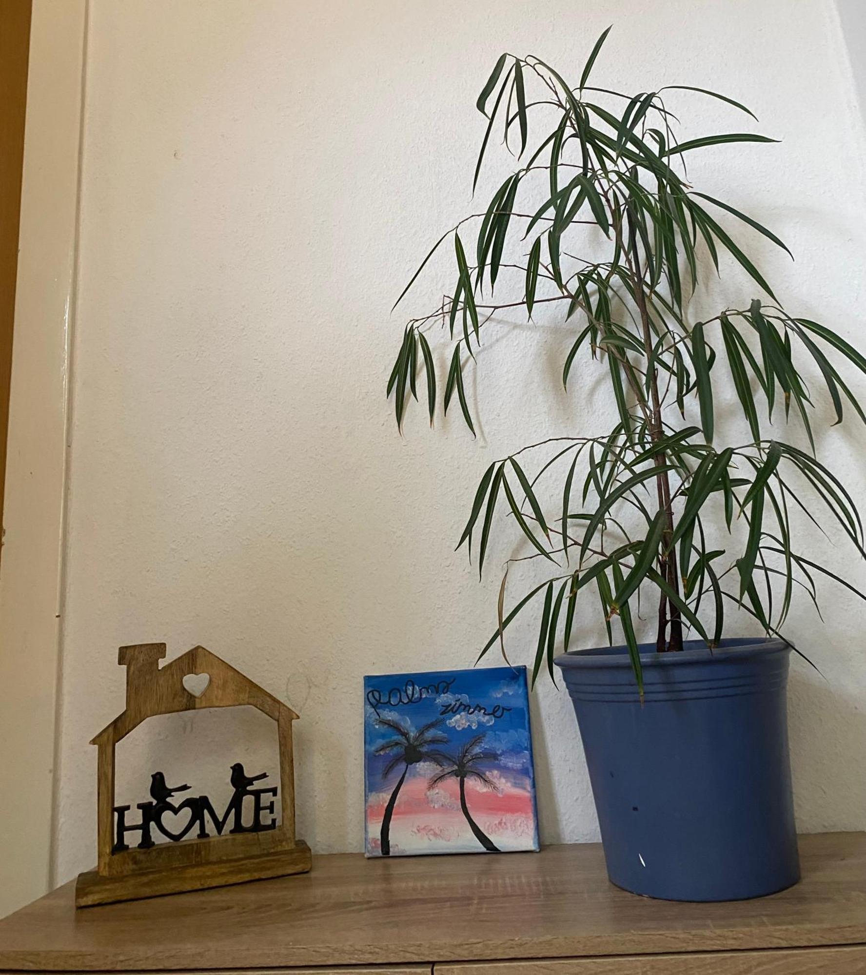 Palms Zimmer Frechen Exterior photo